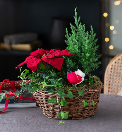 Rød julegruppe med bobler og sjokolade Rød julegruppe med bobler og sjokolade